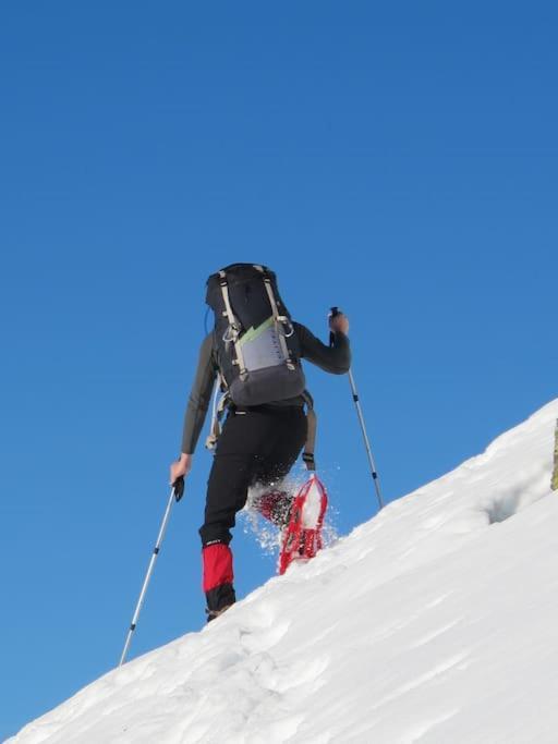 "Le Desman" Confortable T2 A La Montagne Face Aux Thermes Rando, Cure Aulus-les-Bains Εξωτερικό φωτογραφία