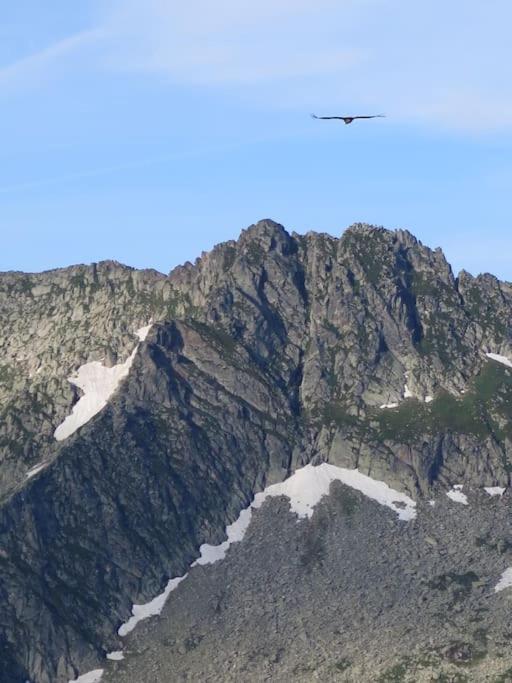 "Le Desman" Confortable T2 A La Montagne Face Aux Thermes Rando, Cure Aulus-les-Bains Εξωτερικό φωτογραφία