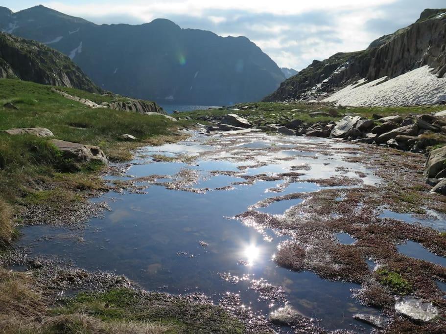 "Le Desman" Confortable T2 A La Montagne Face Aux Thermes Rando, Cure Aulus-les-Bains Εξωτερικό φωτογραφία